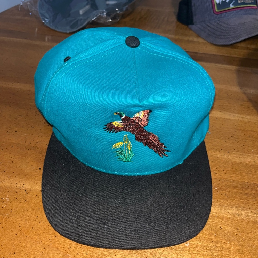 Teal and Black Cap with Embroidered Bird